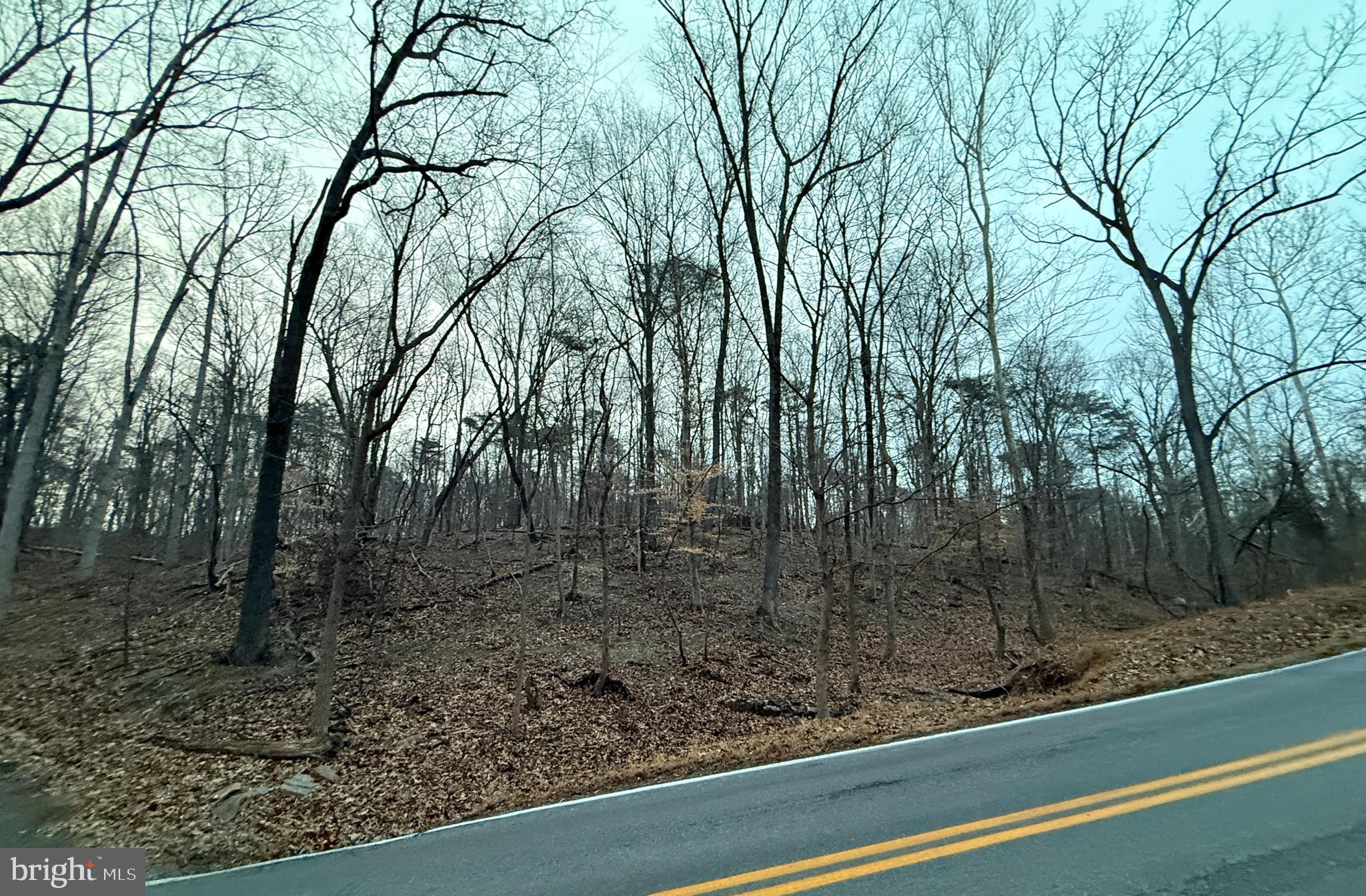Lot 2-parcel Harpers Ferry Road Knoxville, MD 21758 - Photo 5 of 7 a view of a yard with large trees