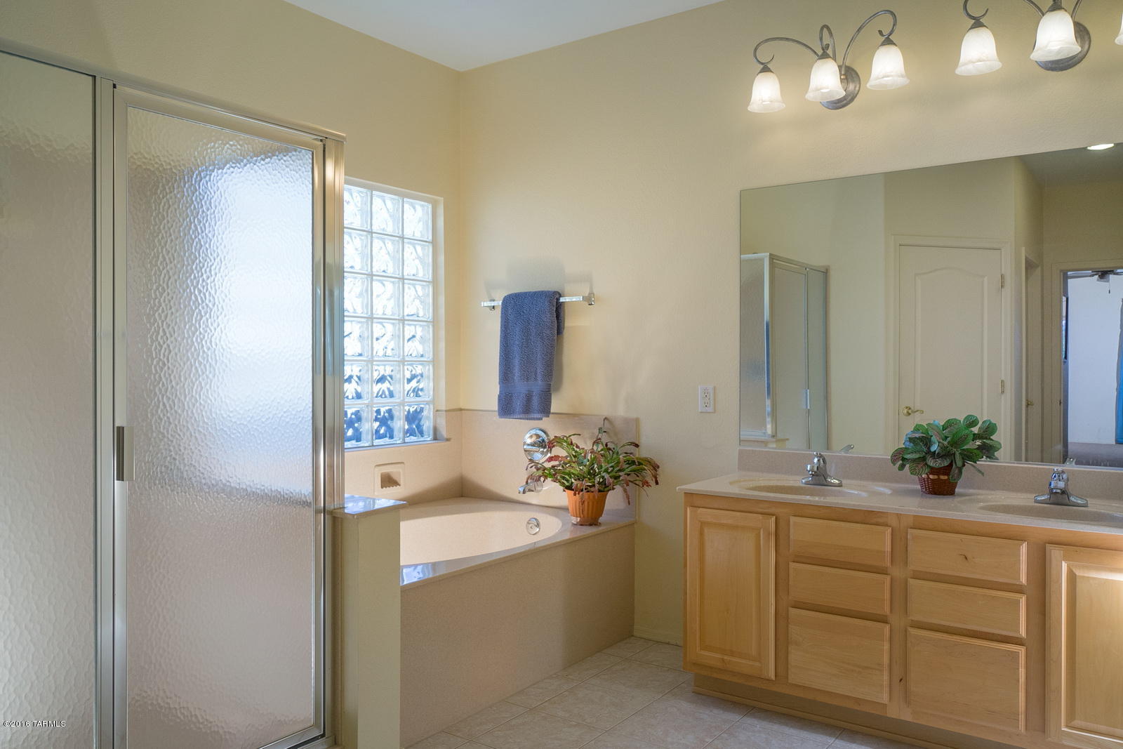 3727 East Mecate Road Tucson, AZ 85739 - Photo 20 of 23
