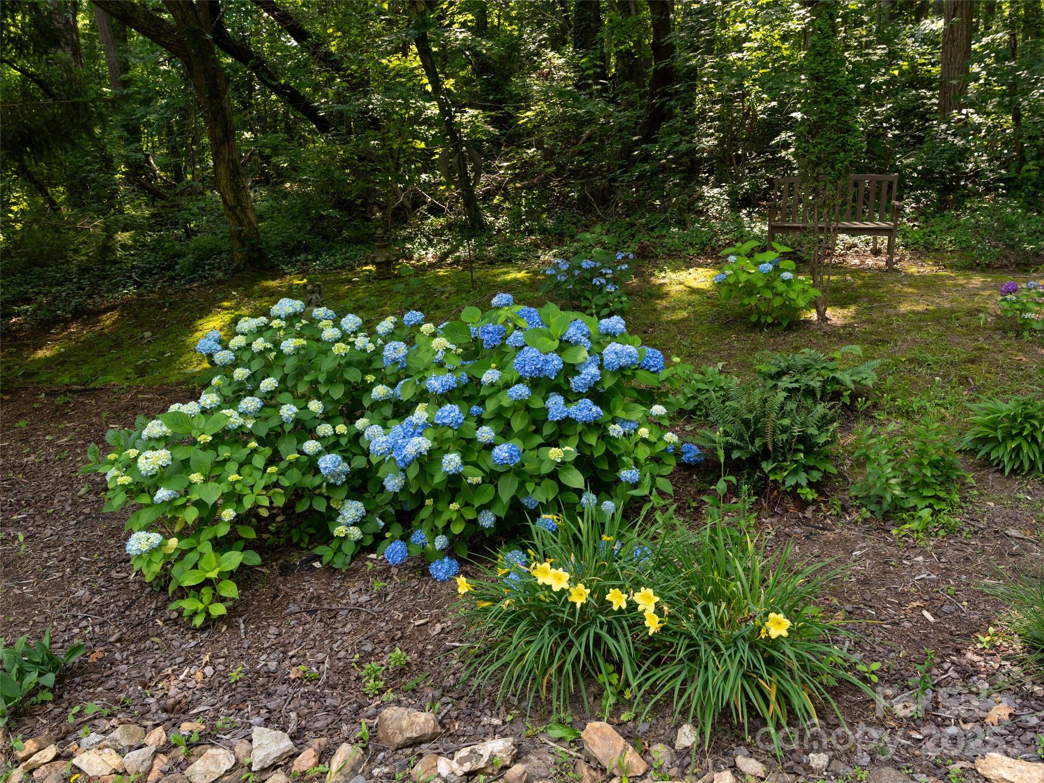 26 Melton Road Candler, NC 28715 - Photo 38 of 44 Gallery Image 38
