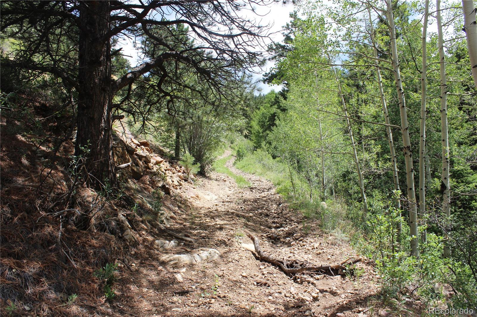 200 Two Brothers Road Idaho Springs, CO 80452 - Photo 14 of 41