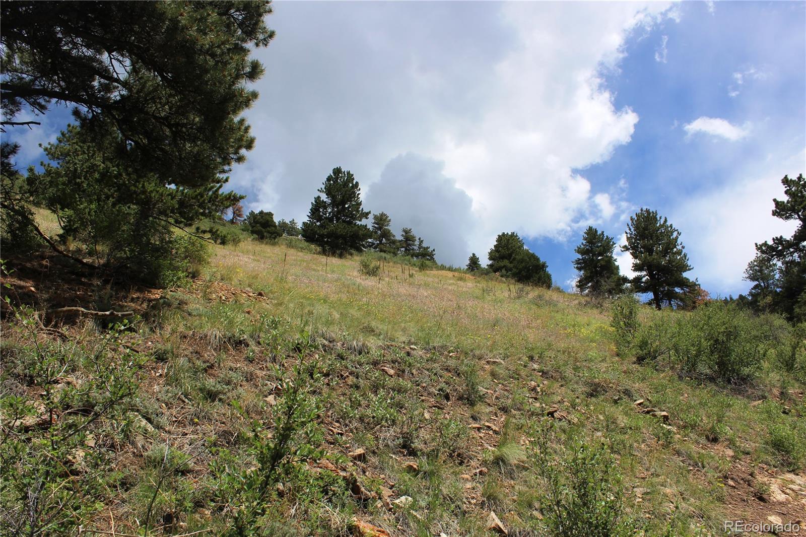 200 Two Brothers Road Idaho Springs, CO 80452 - Photo 15 of 41