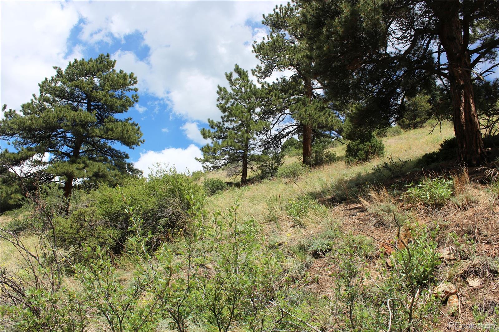 200 Two Brothers Road Idaho Springs, CO 80452 - Photo 16 of 41