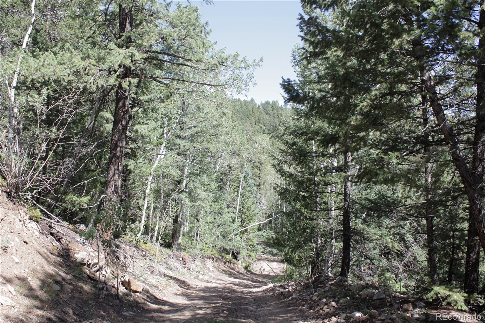 200 Two Brothers Road Idaho Springs, CO 80452 - Photo 18 of 41