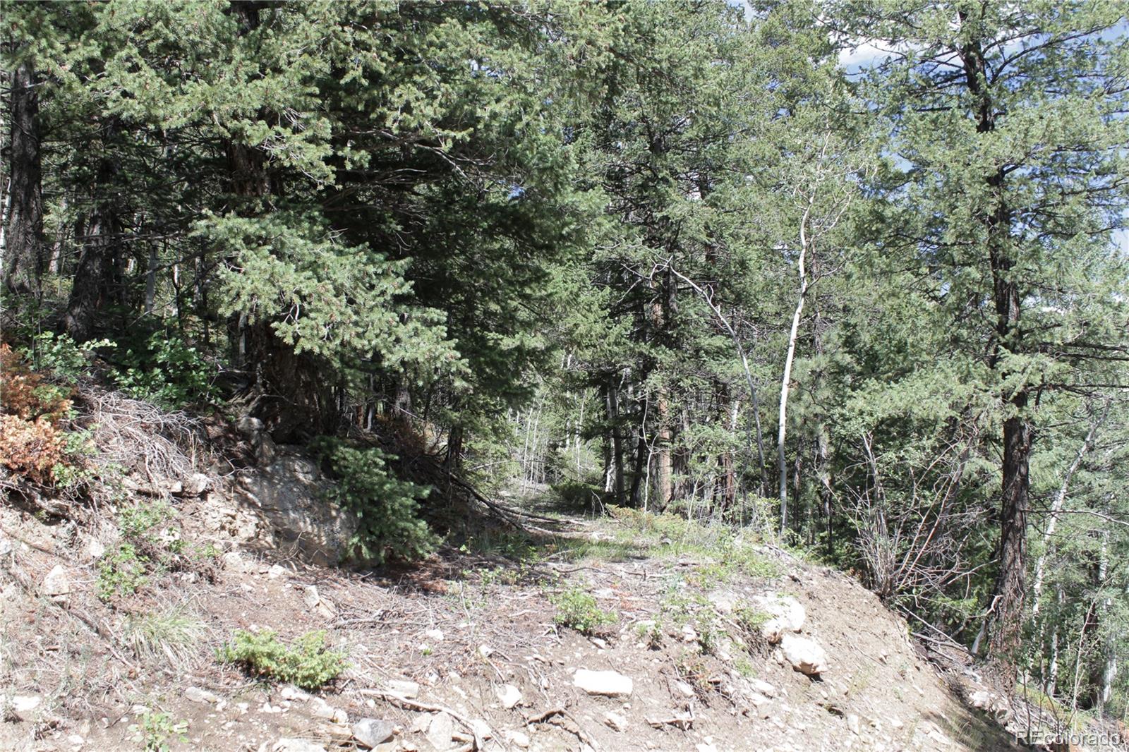 200 Two Brothers Road Idaho Springs, CO 80452 - Photo 19 of 41