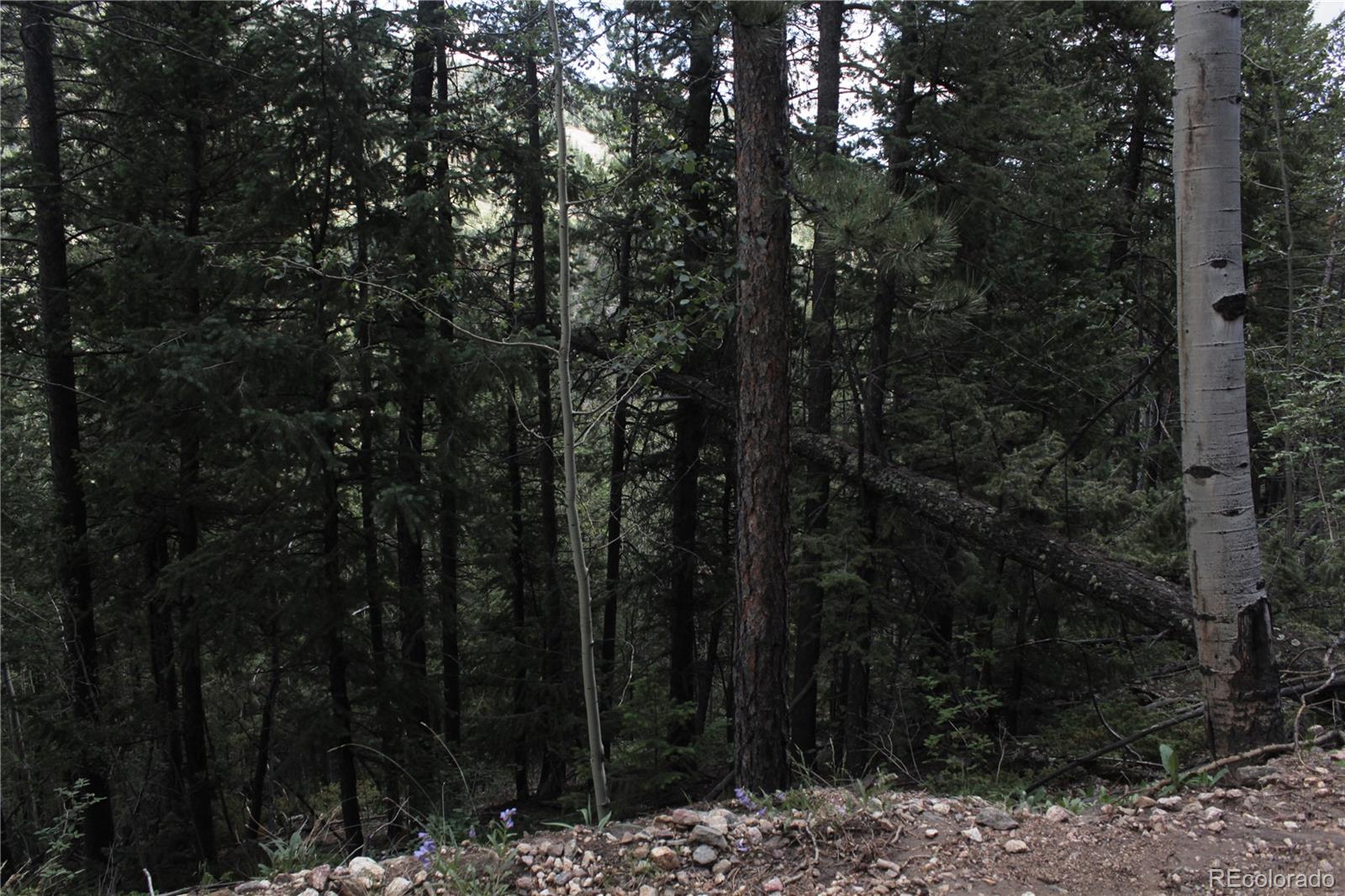 200 Two Brothers Road Idaho Springs, CO 80452 - Photo 20 of 41