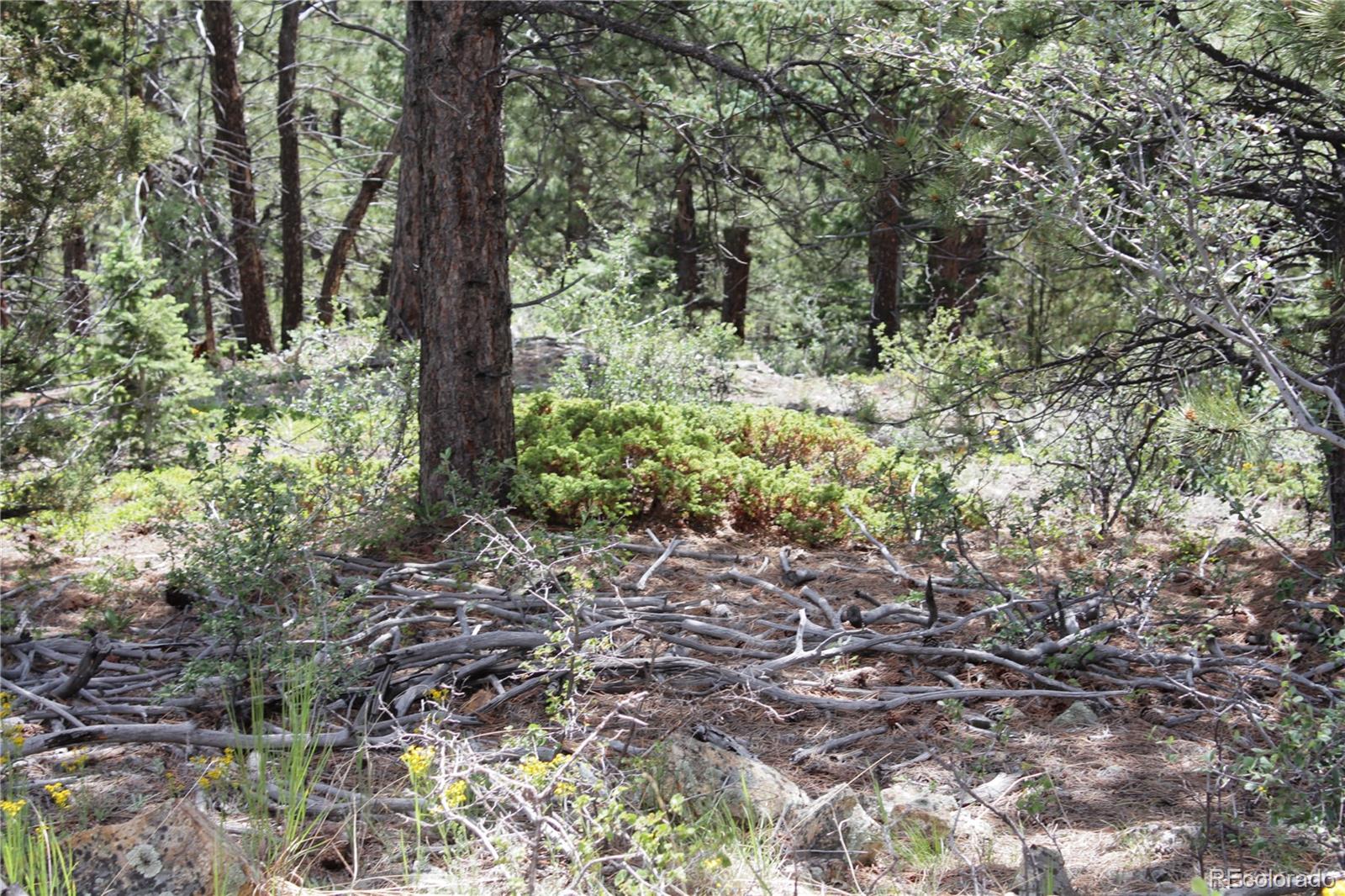 200 Two Brothers Road Idaho Springs, CO 80452 - Photo 21 of 41