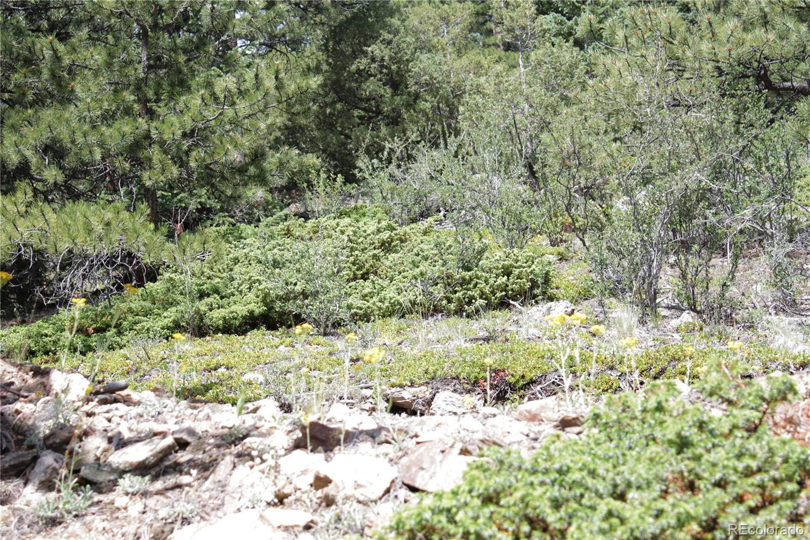 200 Two Brothers Road Idaho Springs, CO 80452 - Photo 22 of 41