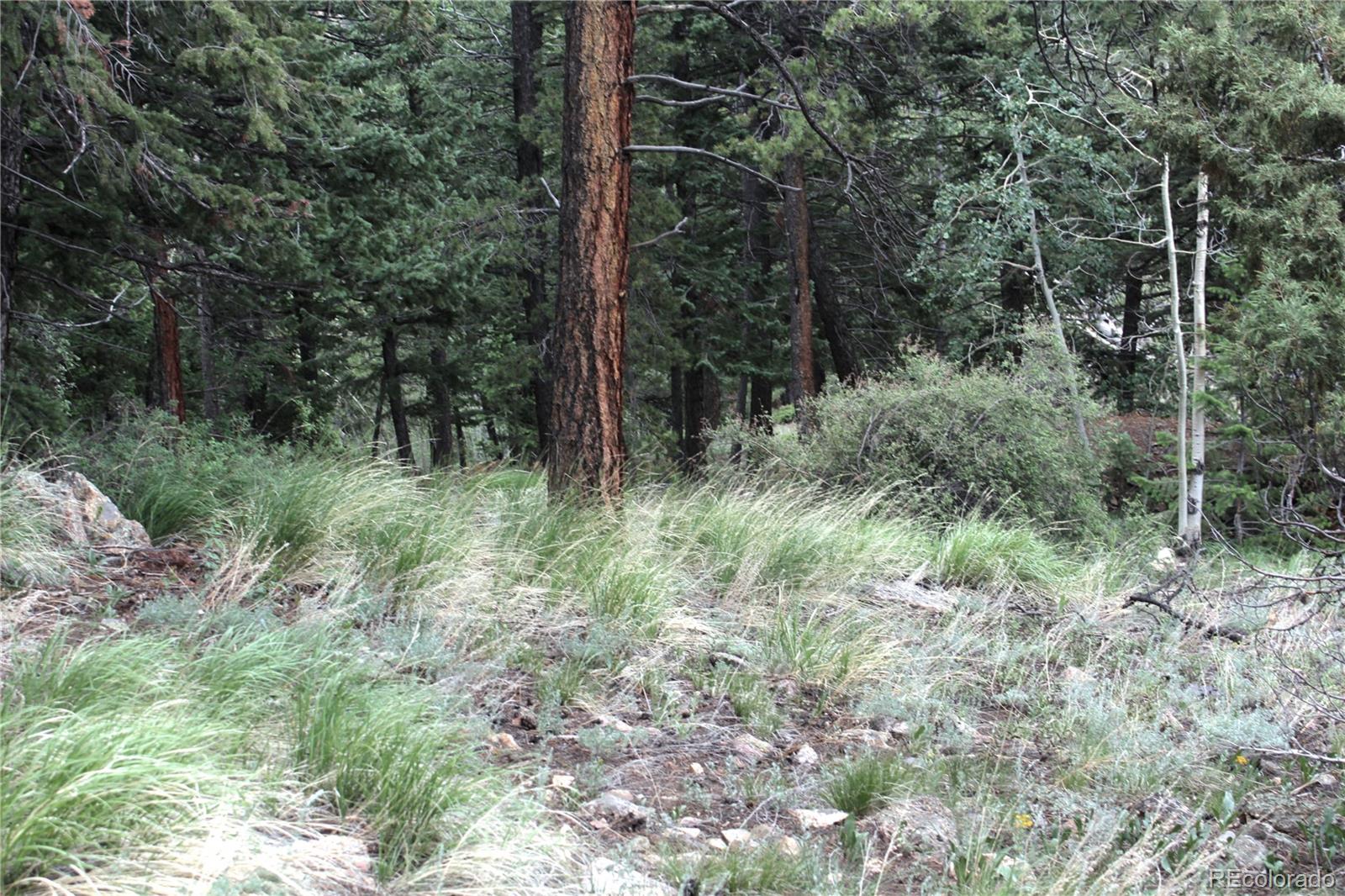 200 Two Brothers Road Idaho Springs, CO 80452 - Photo 27 of 41