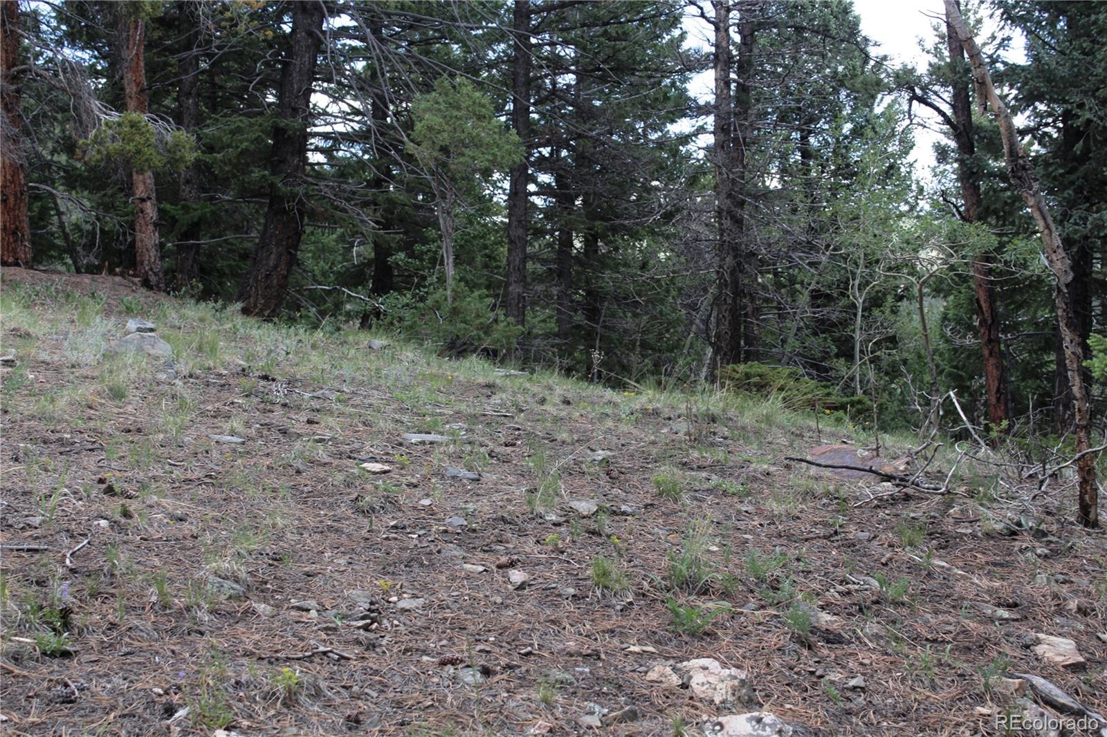 200 Two Brothers Road Idaho Springs, CO 80452 - Photo 28 of 41