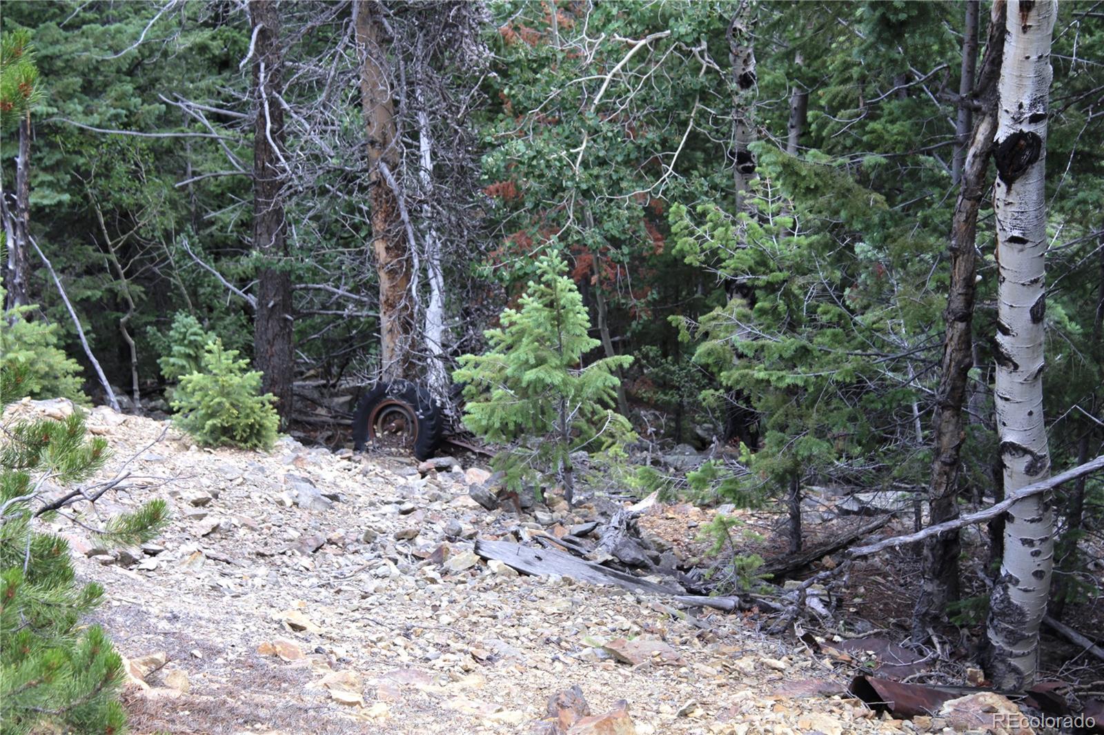 200 Two Brothers Road Idaho Springs, CO 80452 - Photo 30 of 41