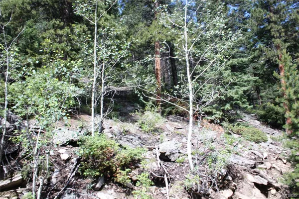 $1,650,000 | 200 Two Brothers Road, Idaho Springs, CO 80452