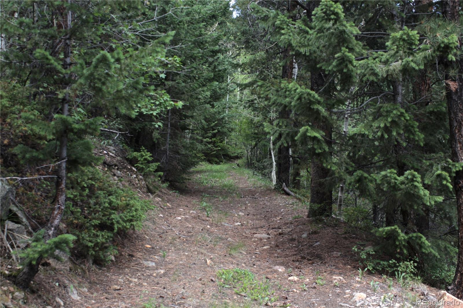 200 Two Brothers Road Idaho Springs, CO 80452 - Photo 32 of 41