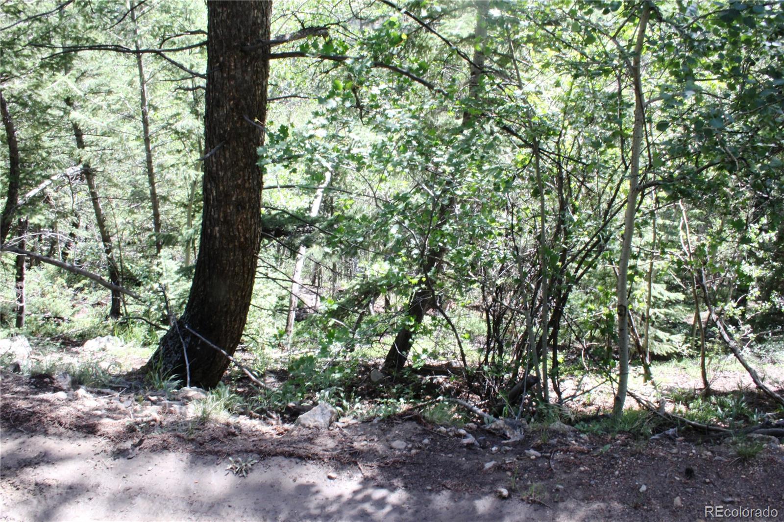 200 Two Brothers Road Idaho Springs, CO 80452 - Photo 7 of 41