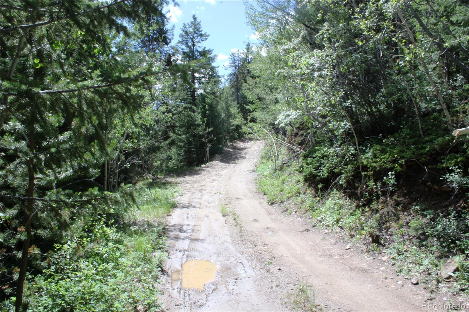 200 Two Brothers Road Idaho Springs, CO 80452 - Photo 8 of 41