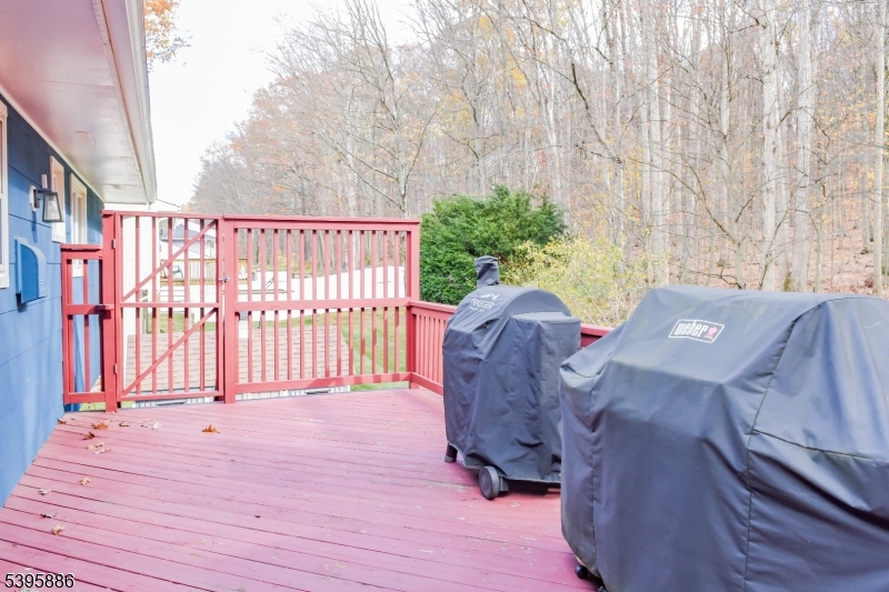 36 Deer Path Drive Flanders, NJ 07836 - Photo 35 of 48