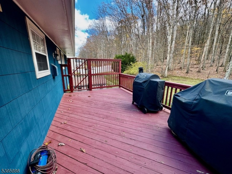 36 Deer Path Drive Flanders, NJ 07836 - Photo 36 of 48