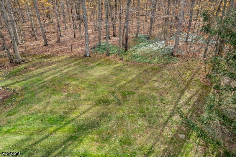 36 Deer Path Drive Flanders, NJ 07836 - Photo 43 of 48