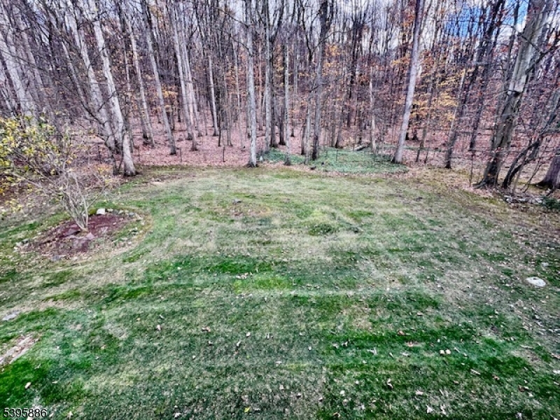 36 Deer Path Drive Flanders, NJ 07836 - Photo 44 of 48