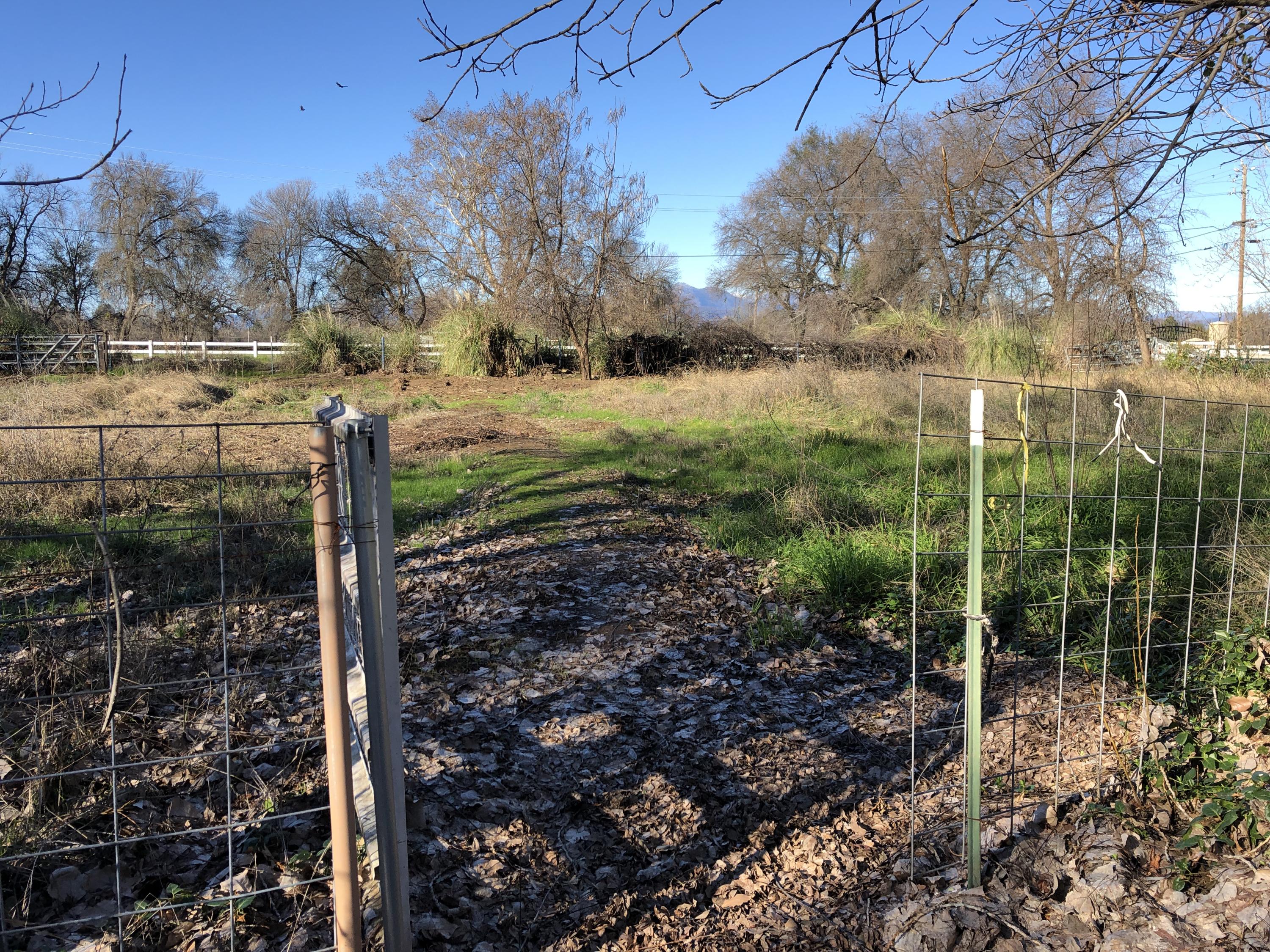 19103 Smith Road Redding, CA 96002 - Photo 50 of 54 a view of a garden