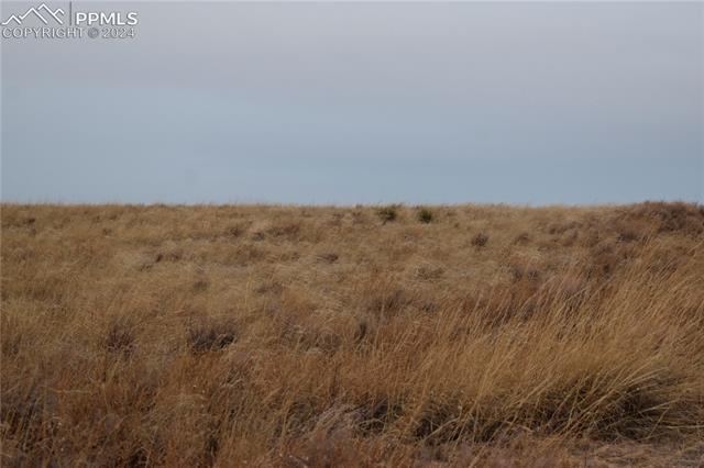 31390 Ken View Yoder, CO 80864 - Photo 8 of 8 View of local wilderness