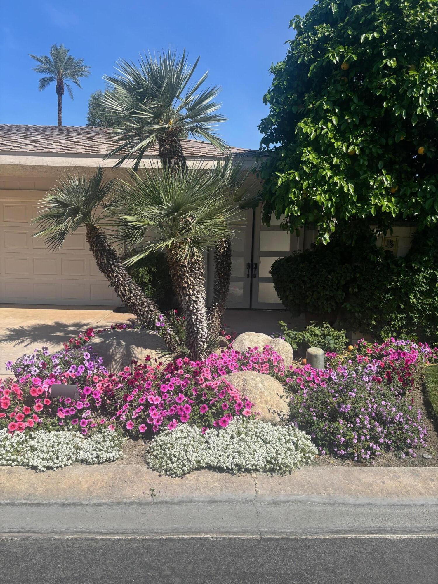 24 Lafayette Drive Rancho Mirage, CA 92270 - Photo 12 of 13 IMG_5861