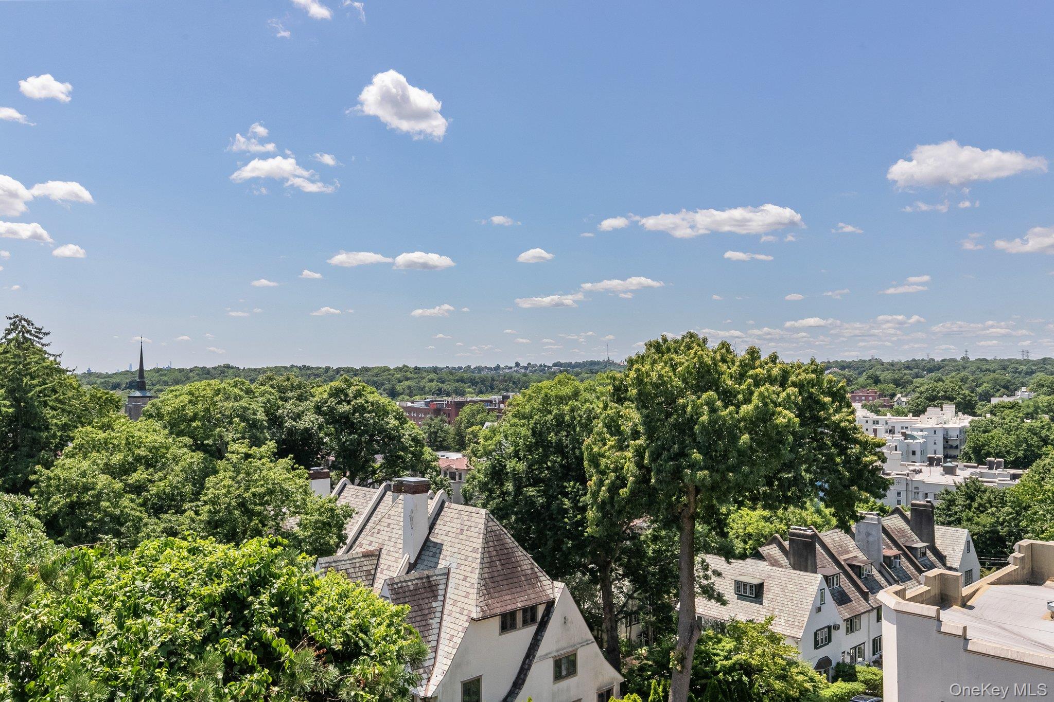 54 Sagamore Road, Unit 4E Bronxville, NY 10708 - Photo 5 of 10 a view of a city