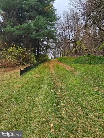 a view of yard with green space