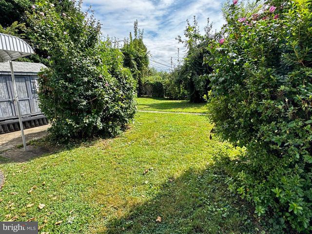 a view of a garden with large trees