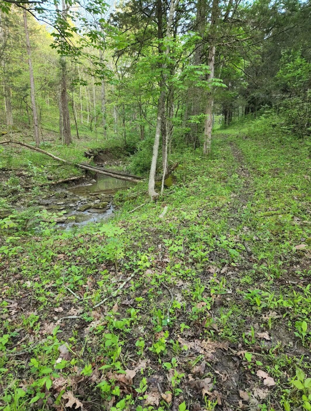 0 Goldsvalley Road Dry Ridge, KY 41035 - Photo 50 of 50