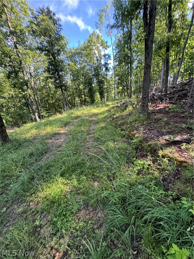 Stone Quarry Road Danville, OH 43014 - Photo 49 of 50