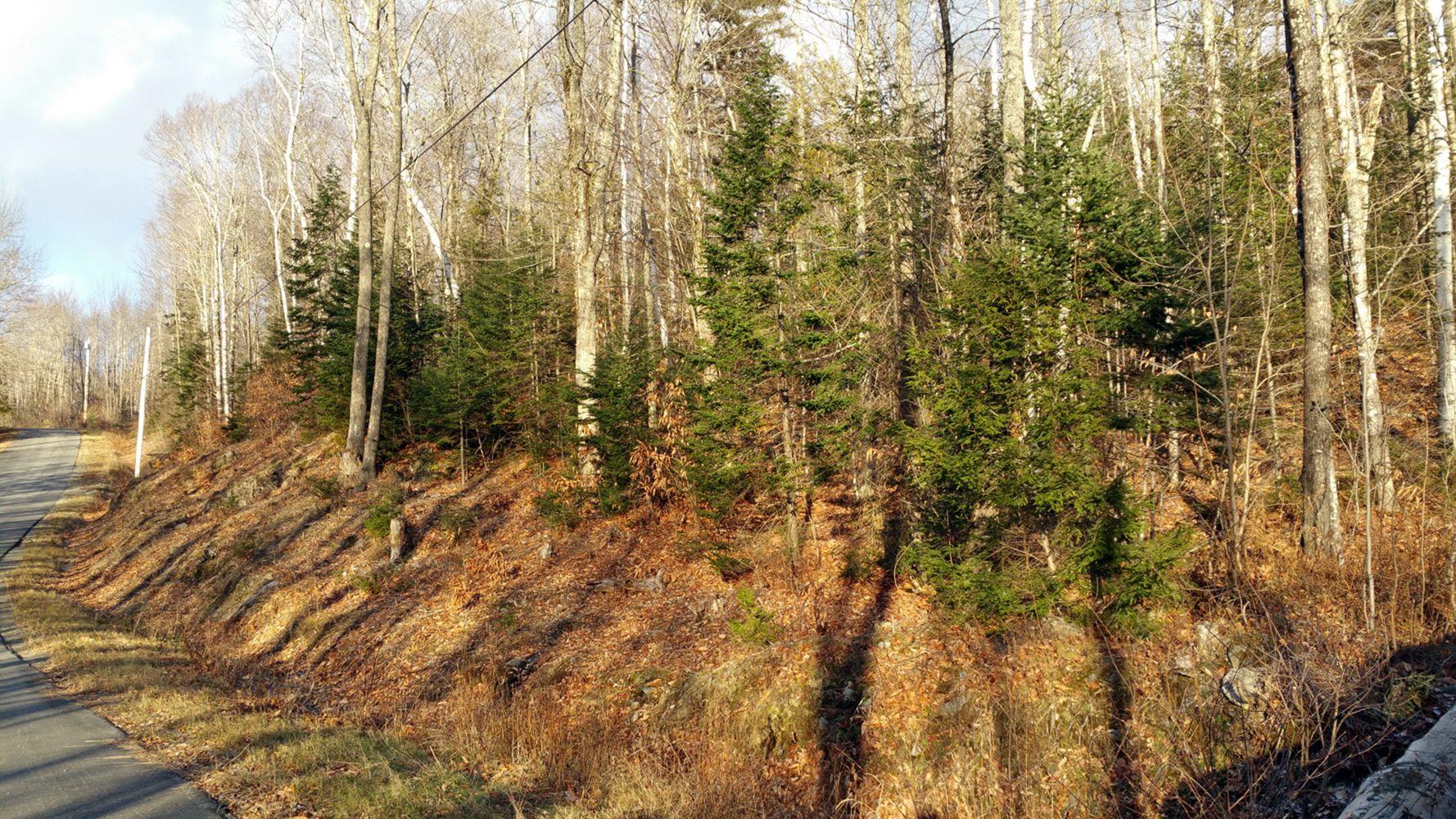 549-567 Pierce Hill Road Moscow, ME 04920 - Photo 23 of 30 20171127_144328_1518804475532