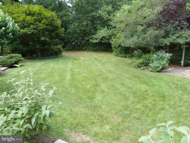 805 Norristown Road Lower Gwynedd, PA 19002 - Photo 6 of 25 Back Yard