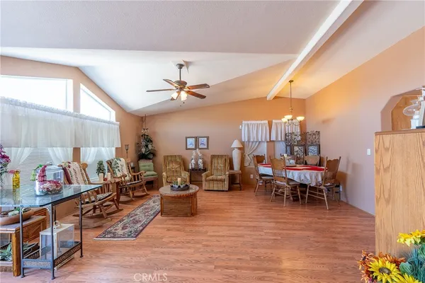 a living room with furniture a dining table and a potted plant