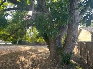 2927 Aborn Road San Jose, CA 95148 - Photo 4 of 9 a view of backyard with green space