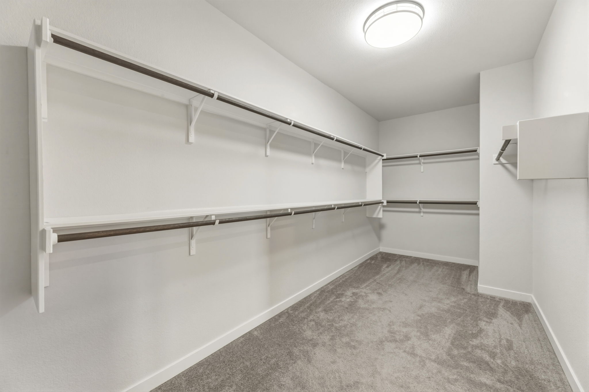 116 Tanali Trail Georgetown, TX 78628 - Photo 34 of 40 Walk in closet featuring light colored carpet