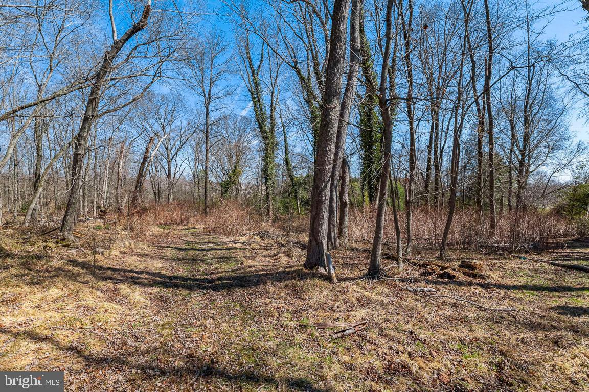 4238 Chapel Road Nottingham, MD 21236 - Photo 18 of 18 Where do you find this size land in BC these days?