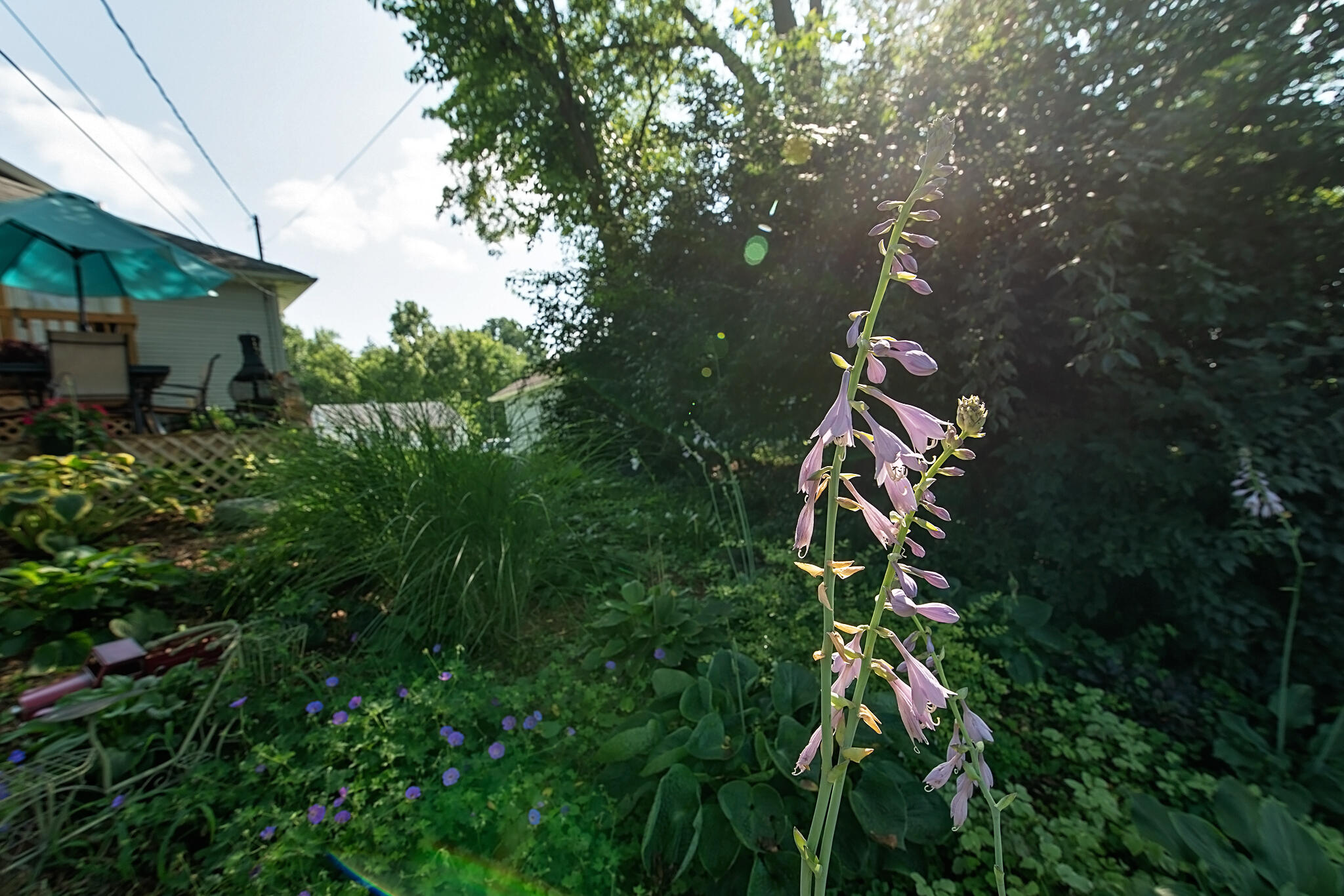 1718 Summit Street Springfield, OH 45503 - Photo 10 of 31 Gallery Image 10