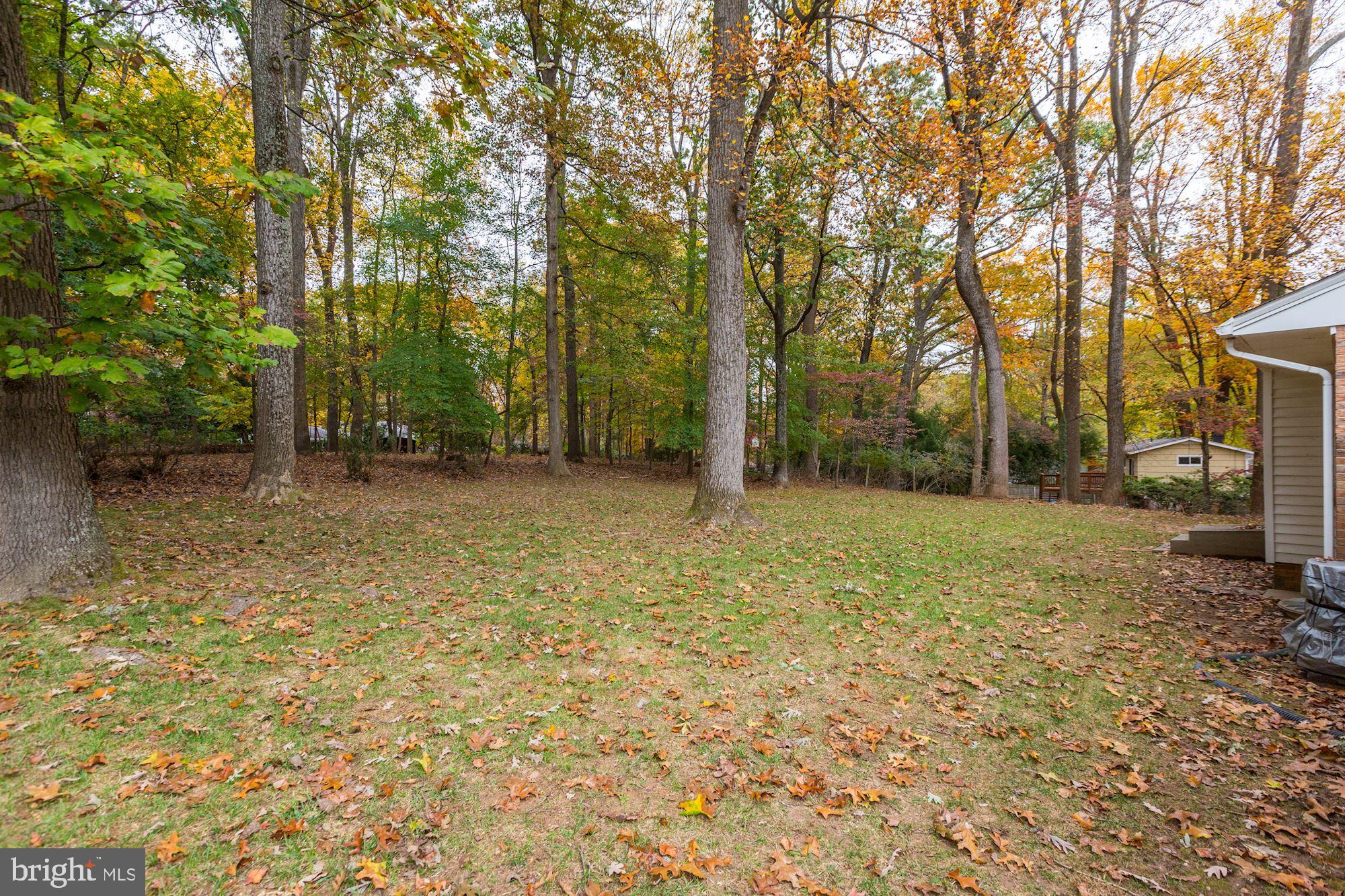 13612 Wendover Road Silver Spring, MD 20904 - Photo 29 of 32 Gallery Image 29