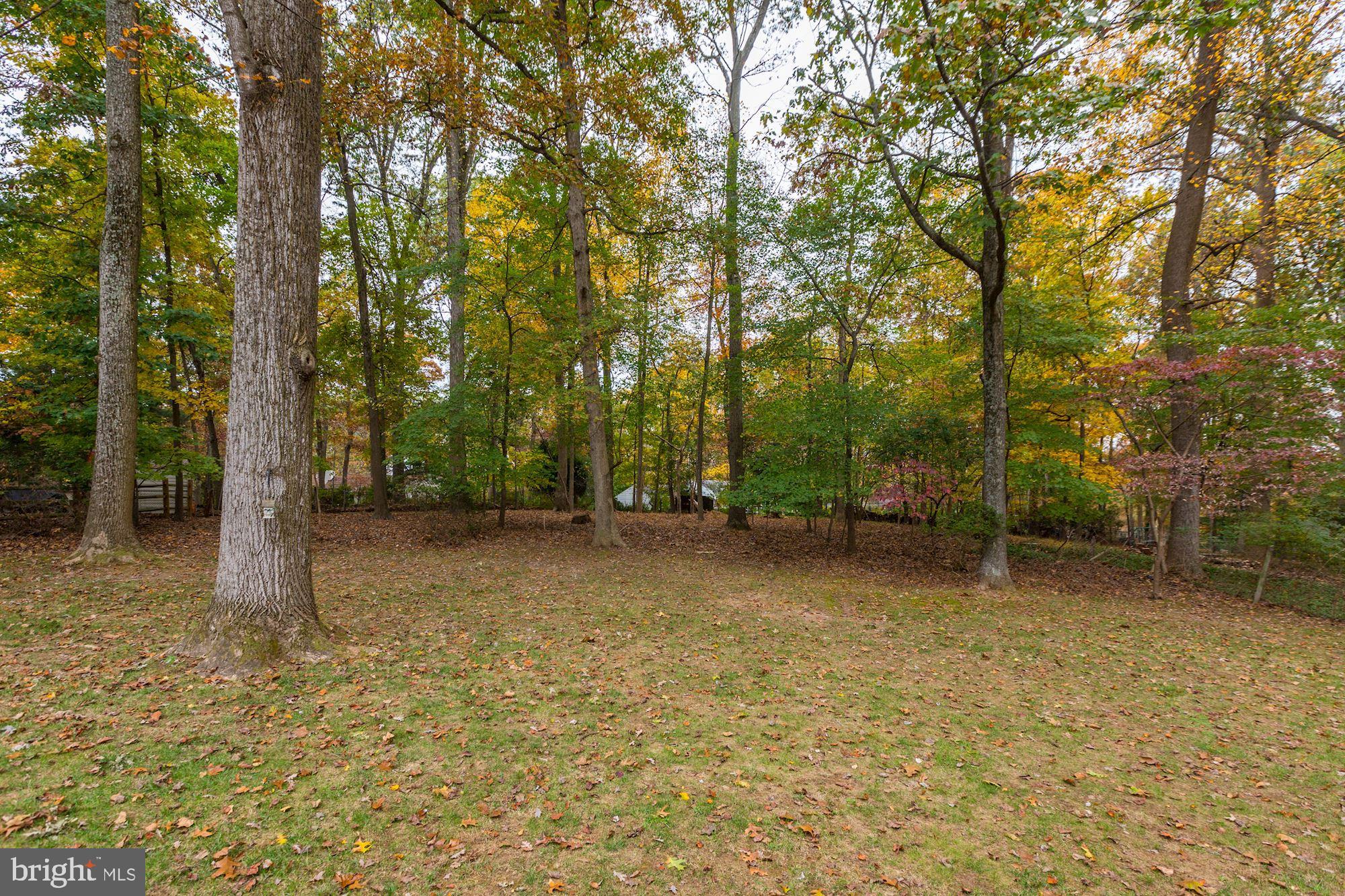 13612 Wendover Road Silver Spring, MD 20904 - Photo 31 of 32 Gallery Image 31