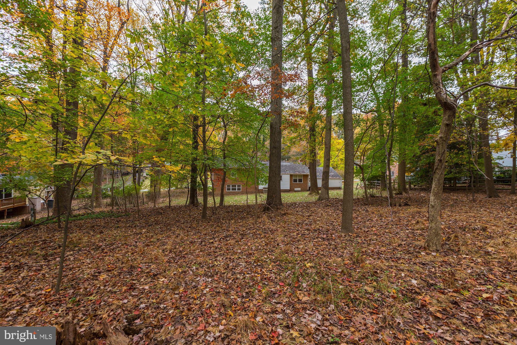 13612 Wendover Road Silver Spring, MD 20904 - Photo 32 of 32 Gallery Image 32