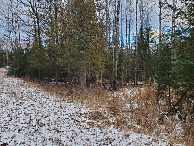 0 Sage Lake Road Lupton, MI 48635 - Photo 7 of 7
