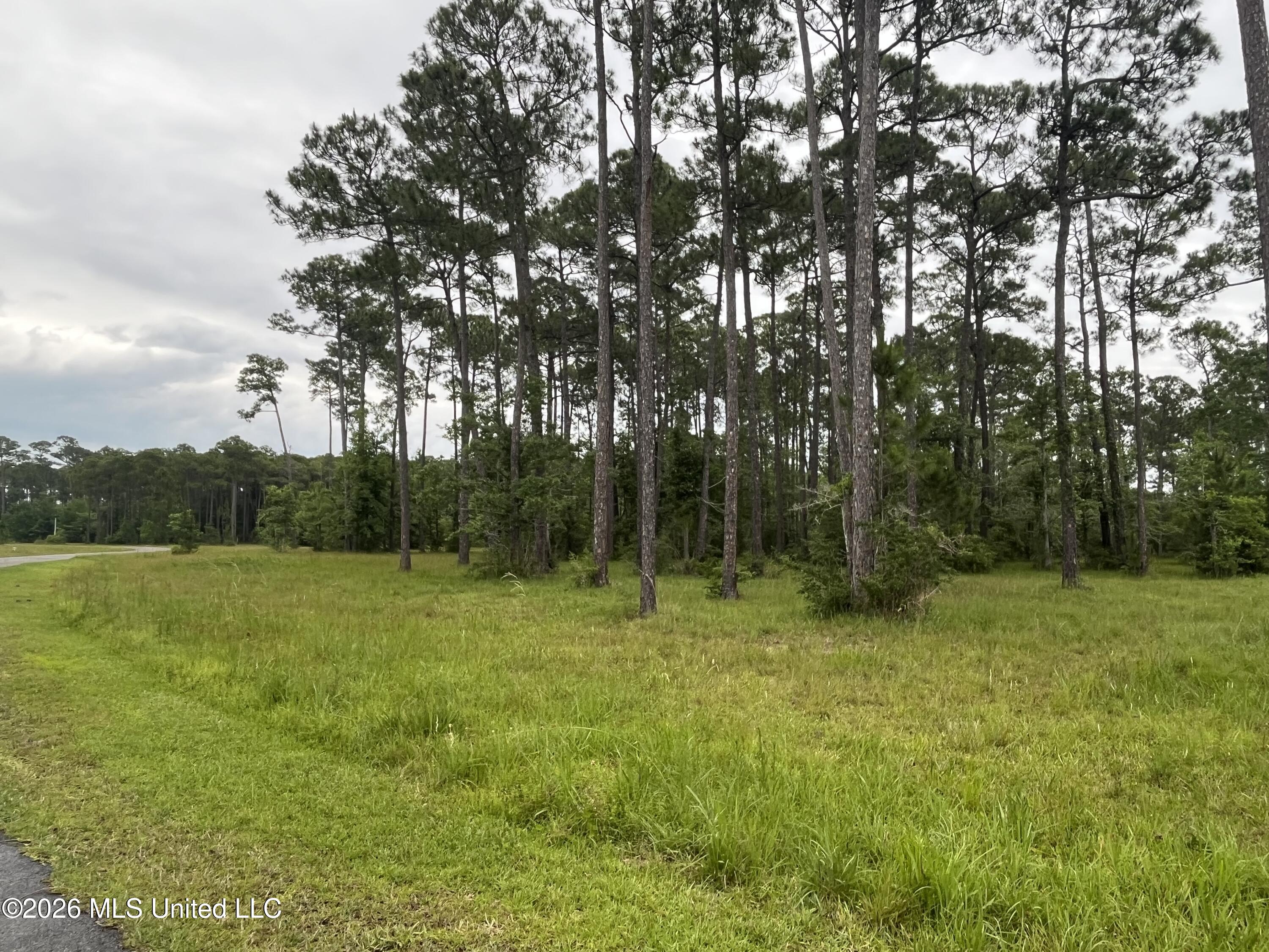 14142 Lorraine Road Biloxi, MS 39532 - Photo 6 of 13 IMG_8754