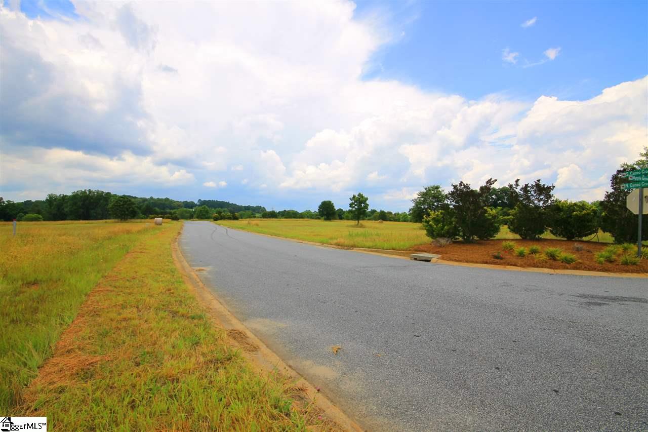 403 Bradburn Fields Inman, SC 29349 - Photo 11 of 17