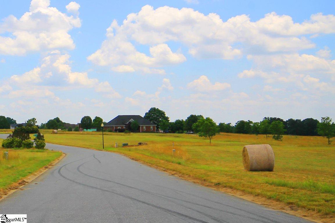 403 Bradburn Fields Inman, SC 29349 - Photo 12 of 17