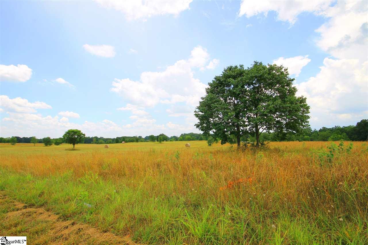403 Bradburn Fields Inman, SC 29349 - Photo 14 of 17