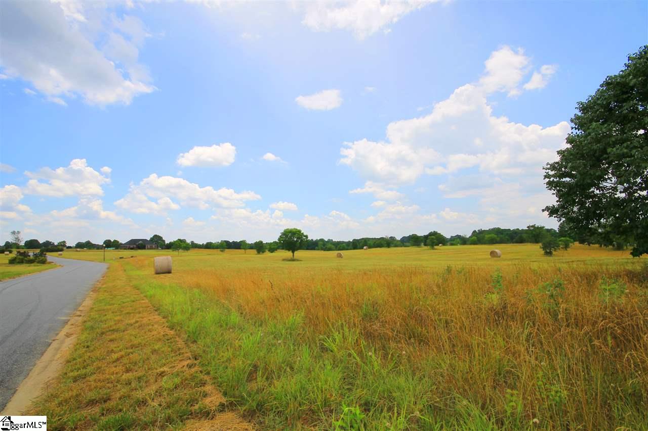 403 Bradburn Fields Inman, SC 29349 - Photo 15 of 17