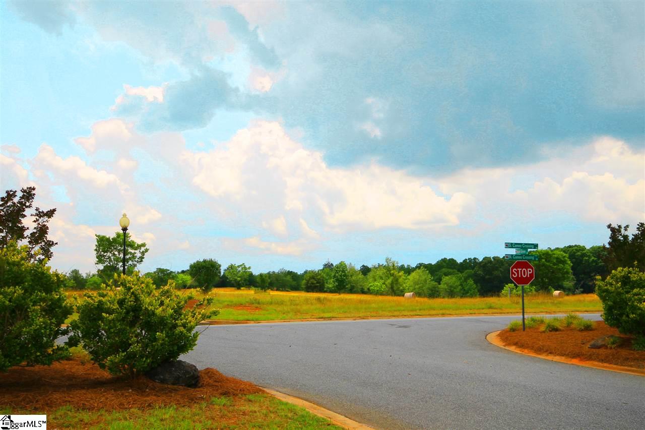 403 Bradburn Fields Inman, SC 29349 - Photo 6 of 17