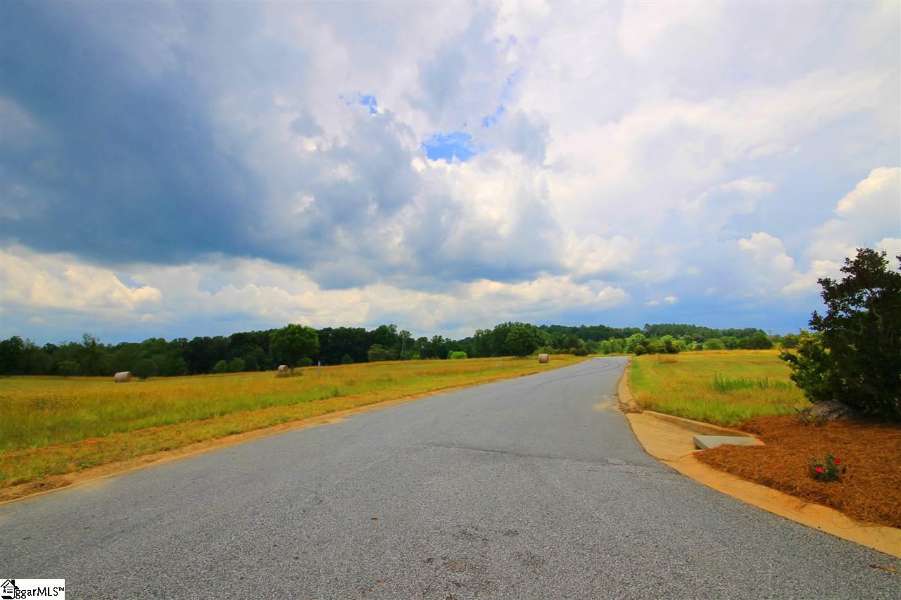 403 Bradburn Fields Inman, SC 29349 - Photo 9 of 17