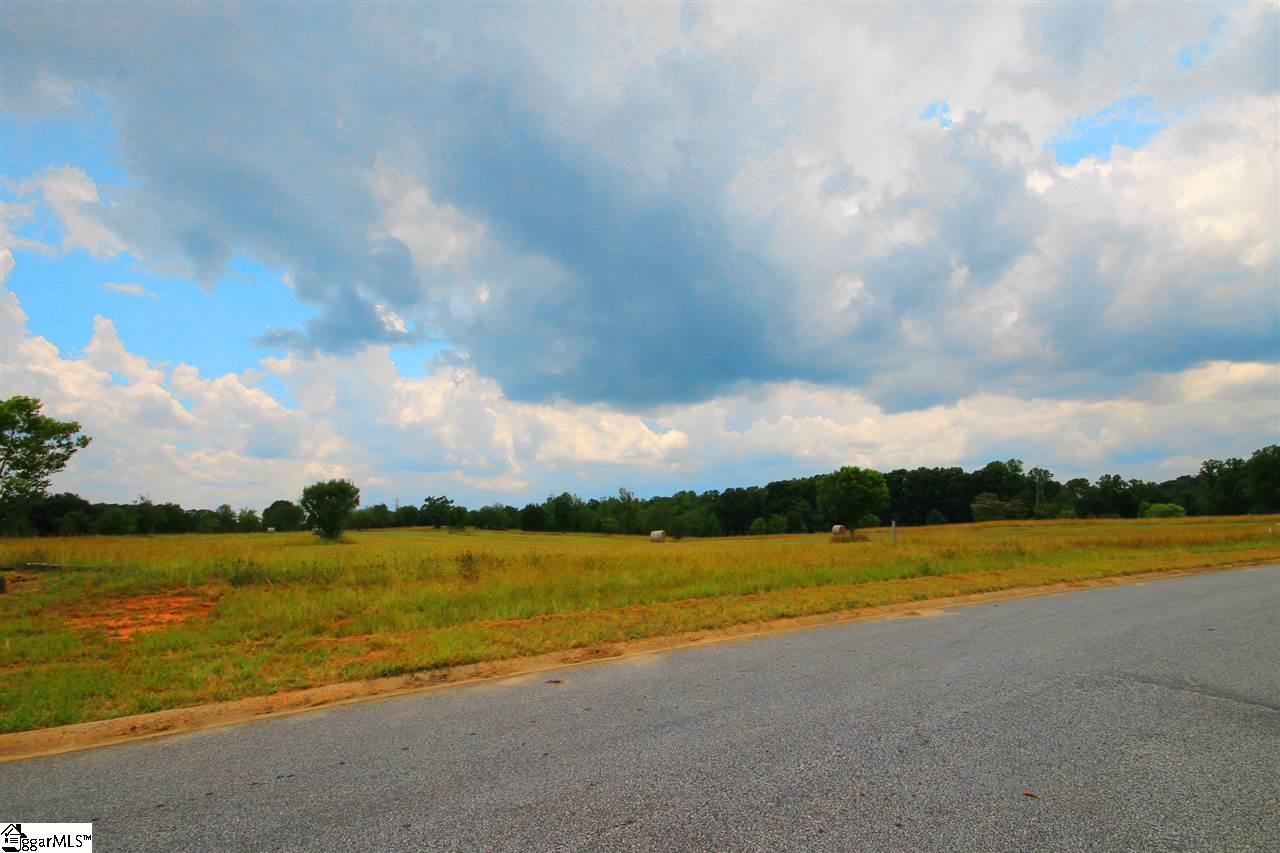 403 Bradburn Fields Inman, SC 29349 - Photo 10 of 17