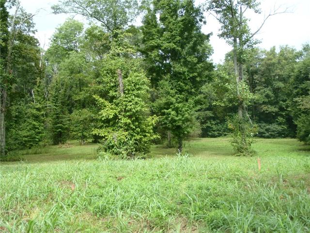 1 Mount Olivet Road Wartrace, TN 37183 - Photo 4 of 11 Gallery Image 4